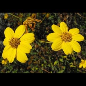 Meet your Posher, Kara